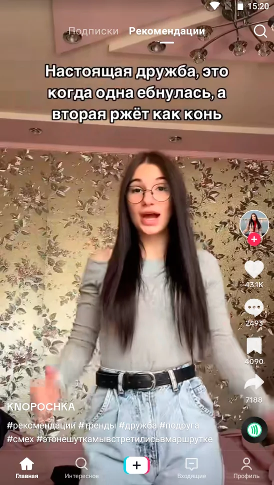 TikTok (скриншот, фото)