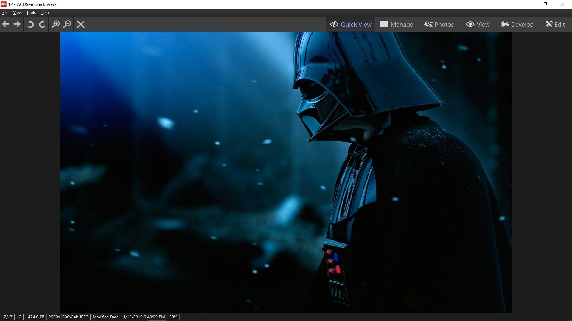 ACDSee Free (screenshot, photo)