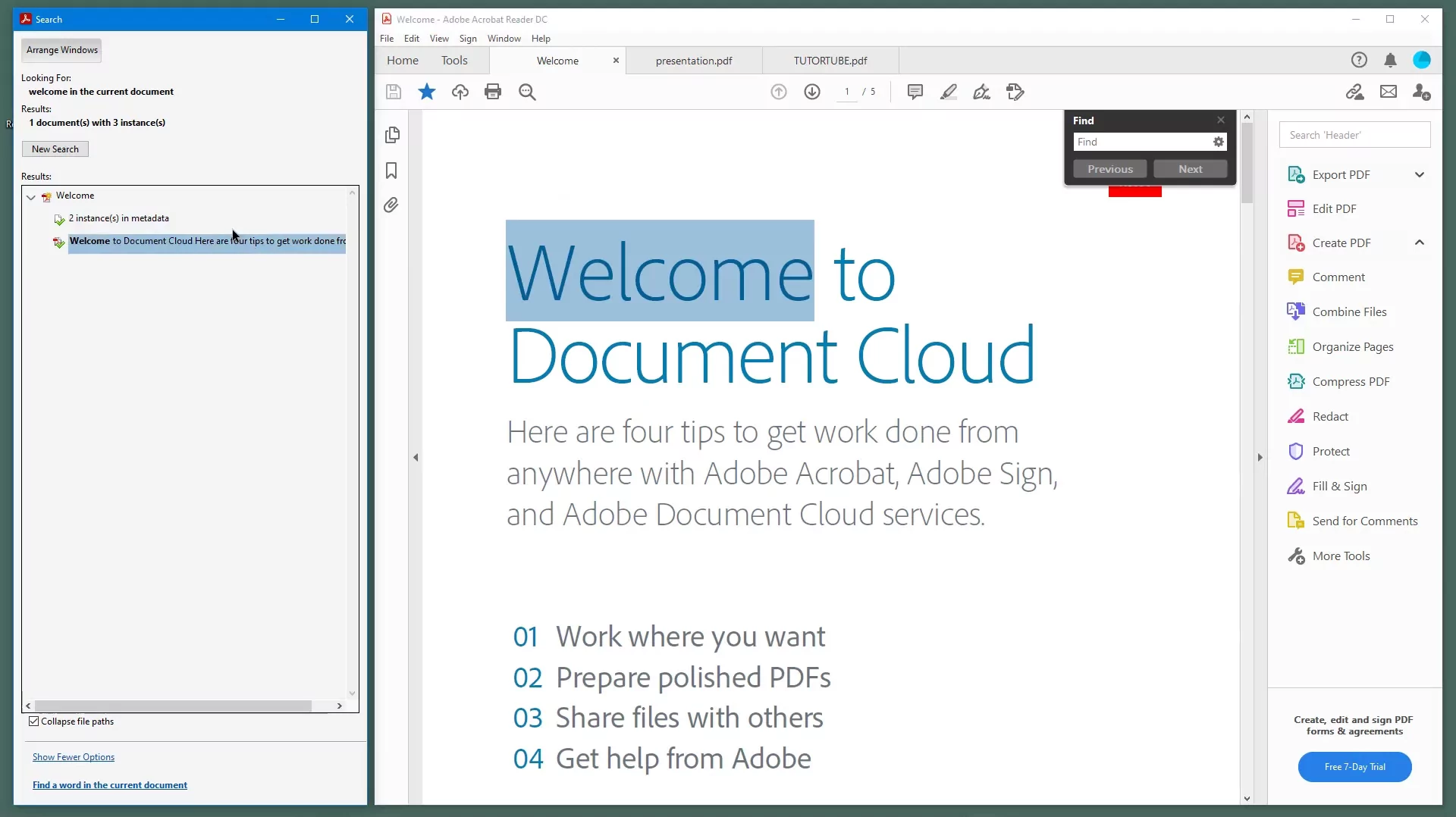 Adobe Reader (screenshot, photo)