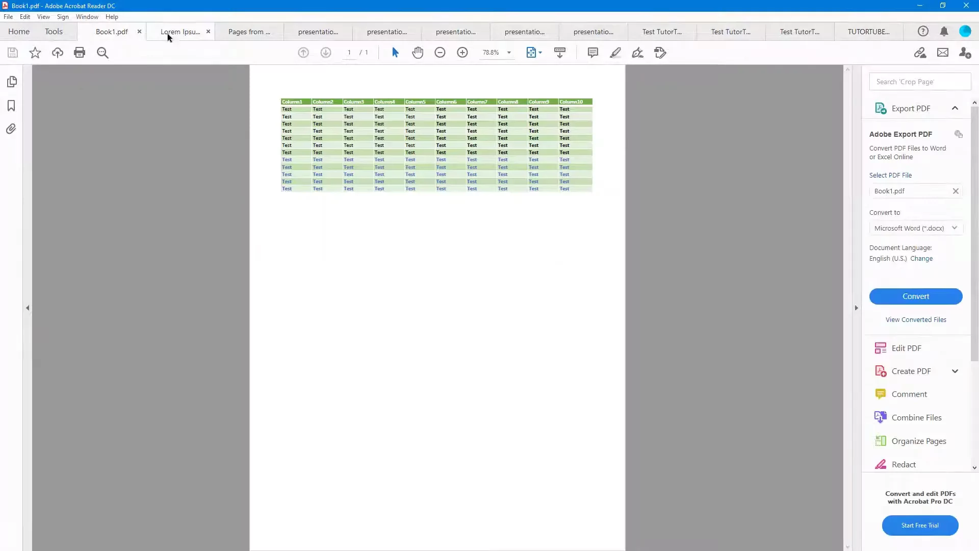 Adobe Reader (screenshot, photo)