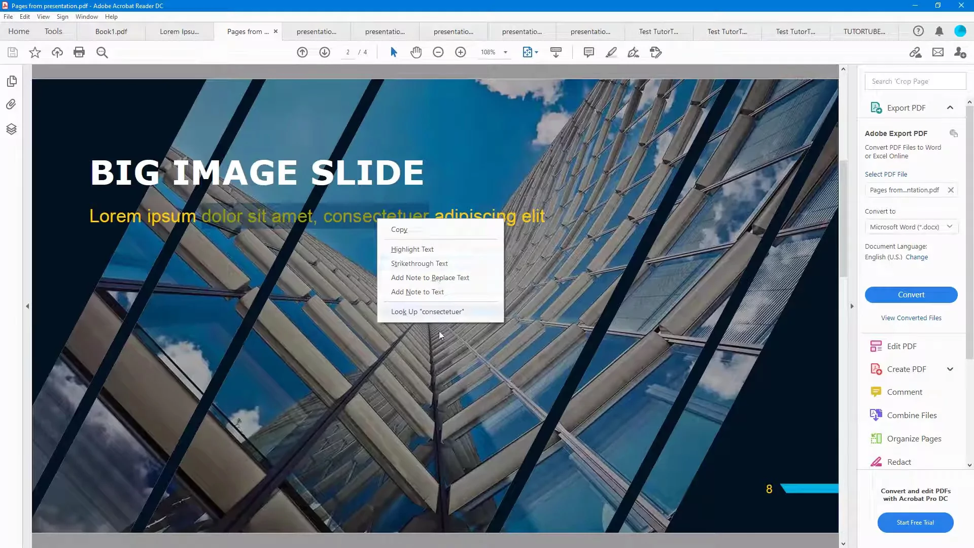 Adobe Reader (screenshot, photo)