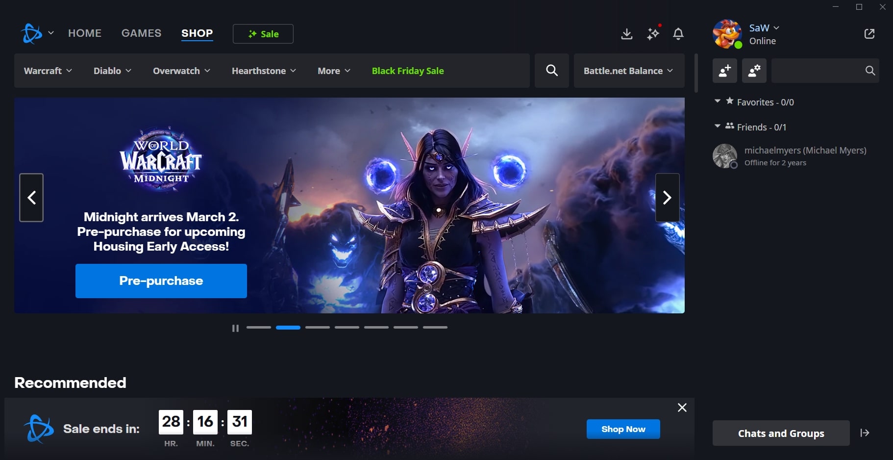 Battle.net (screenshot, photo)