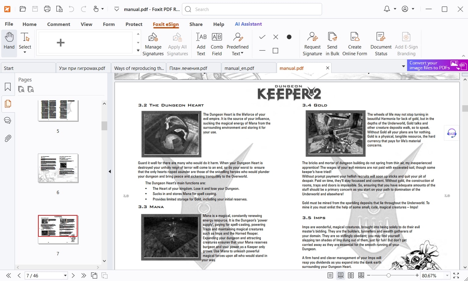 Foxit PDF Reader (screenshot, photo)