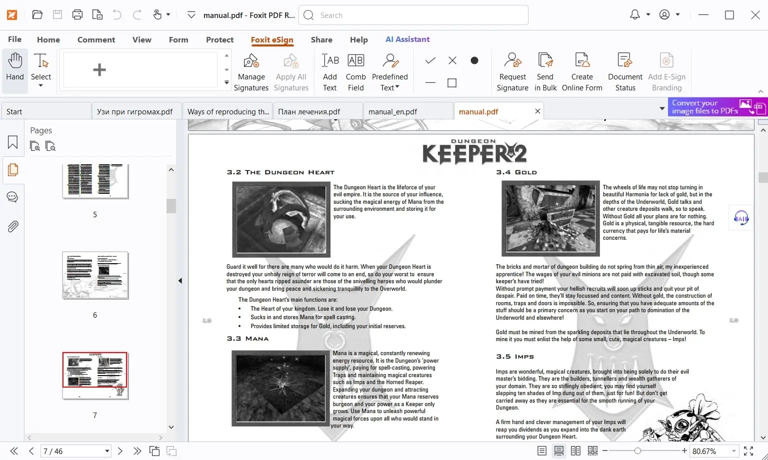 Foxit PDF Reader (screenshot, photo)