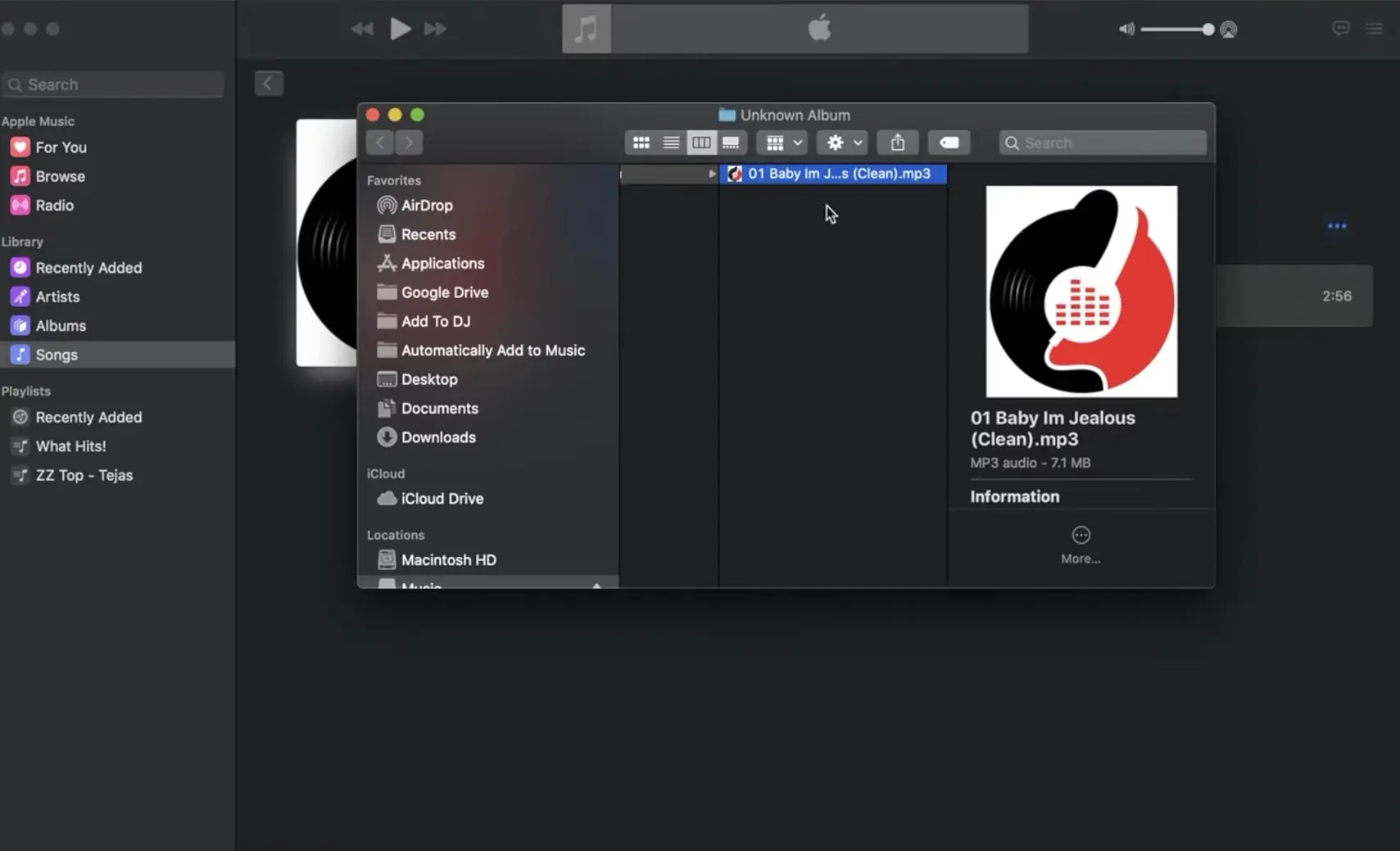 iTunes (screenshot, photo)