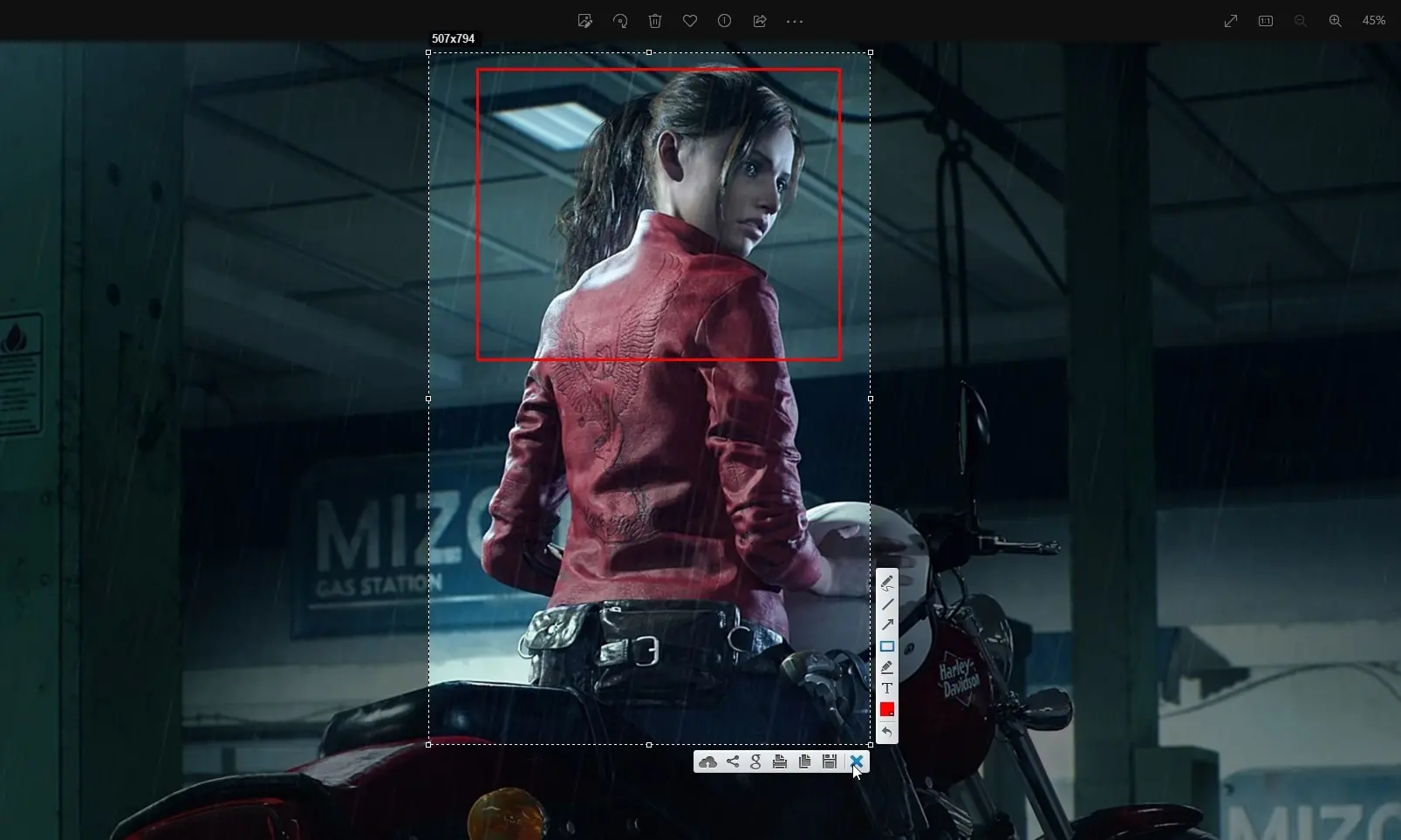 Lightshot (screenshot, photo)