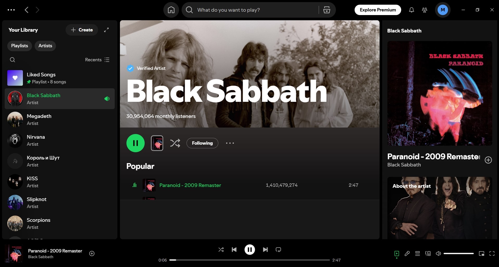 Spotify (screenshot, photo)