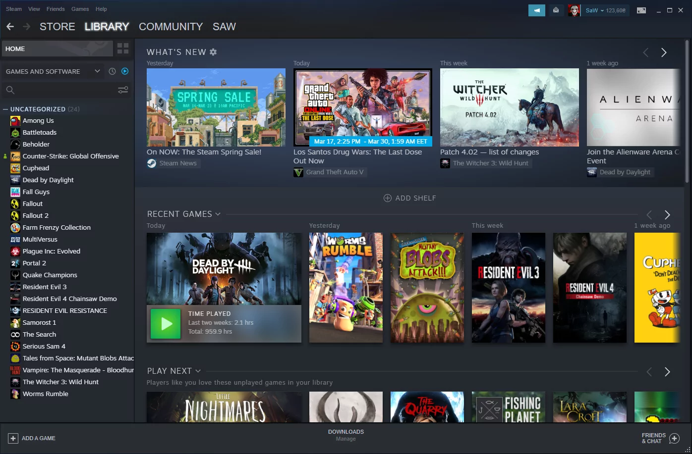 Steam (screenshot, photo)