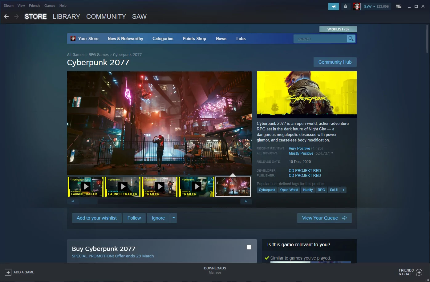 Steam (screenshot, photo)