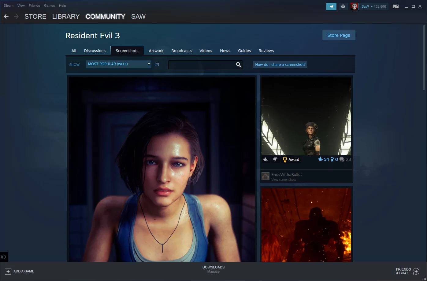 Steam (screenshot, photo)