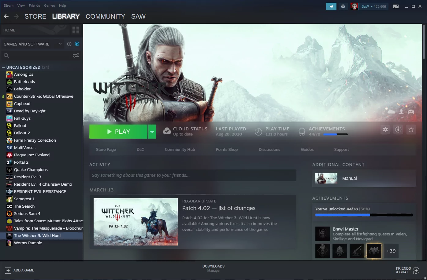 Steam (screenshot, photo)