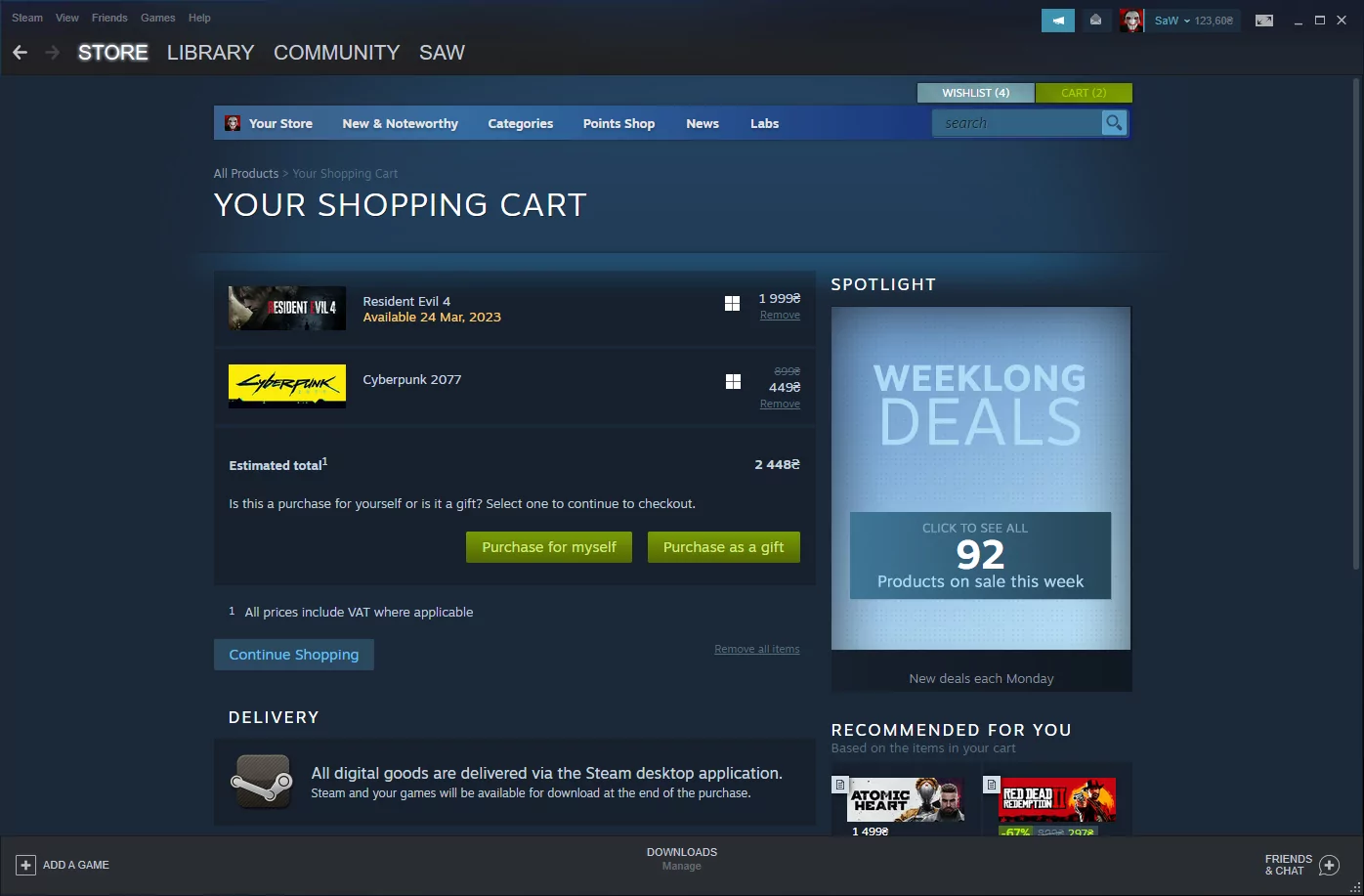 Steam (screenshot, photo)