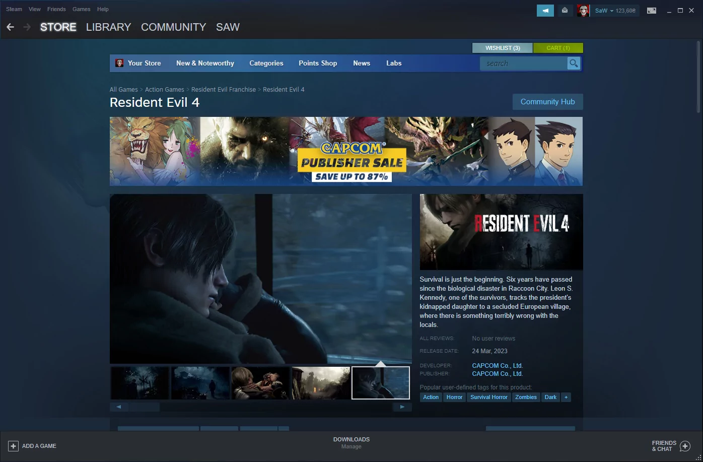 Steam (screenshot, photo)