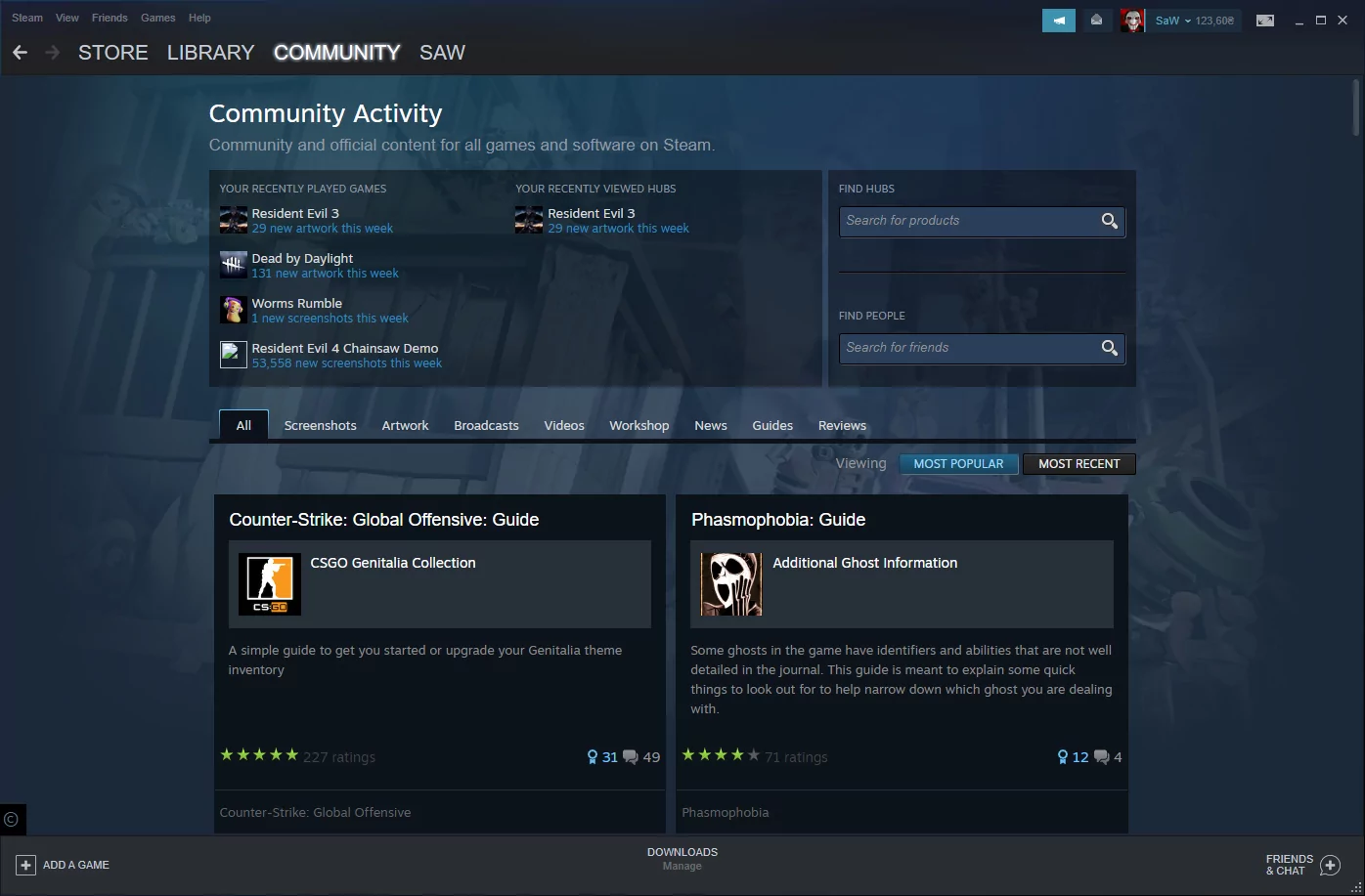 Steam (screenshot, photo)