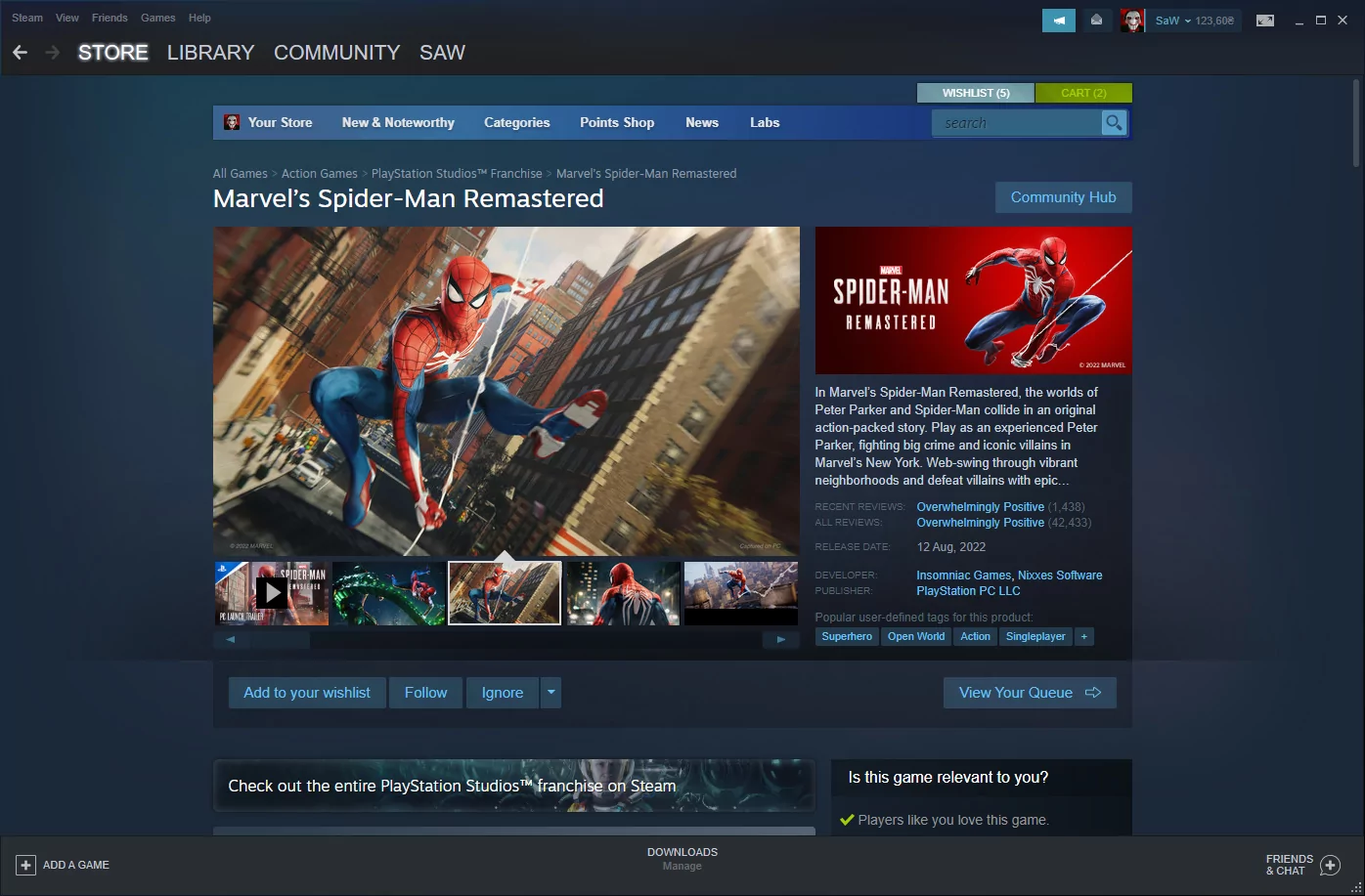 Steam (screenshot, photo)