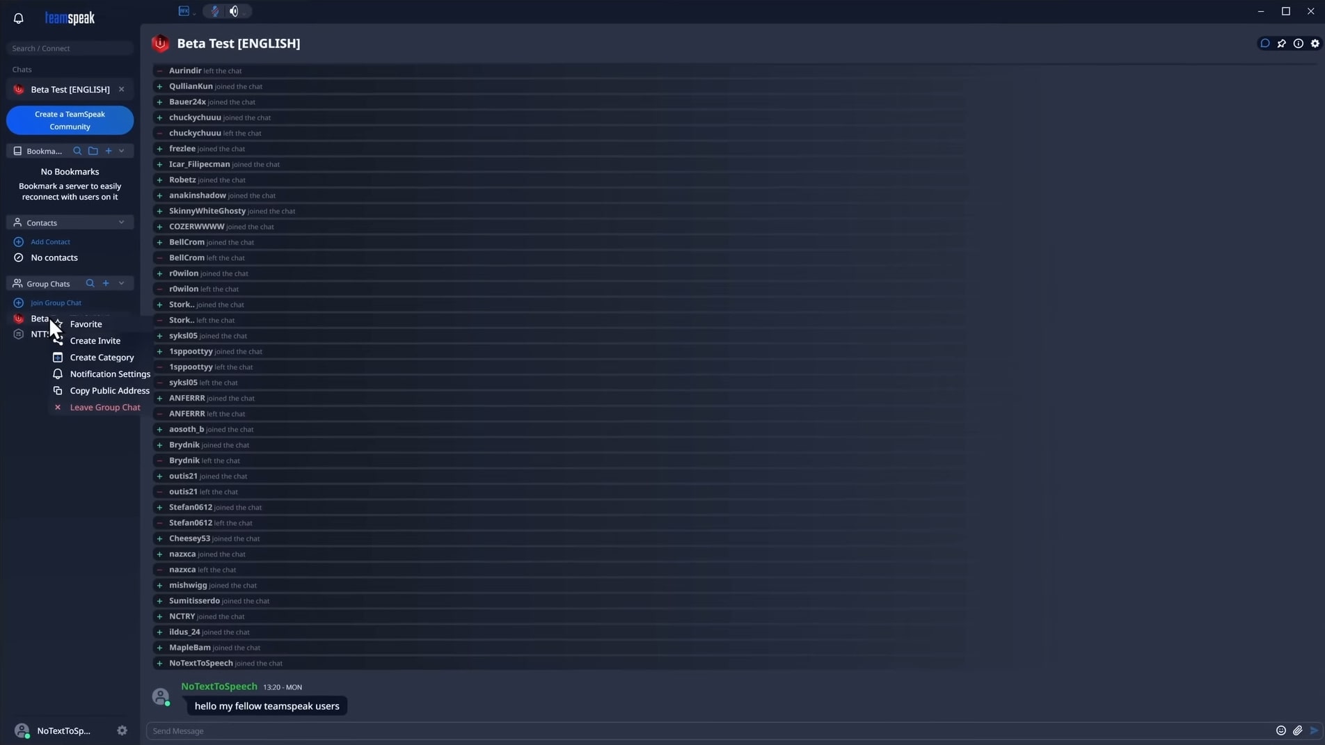 TeamSpeak (screenshot, photo)