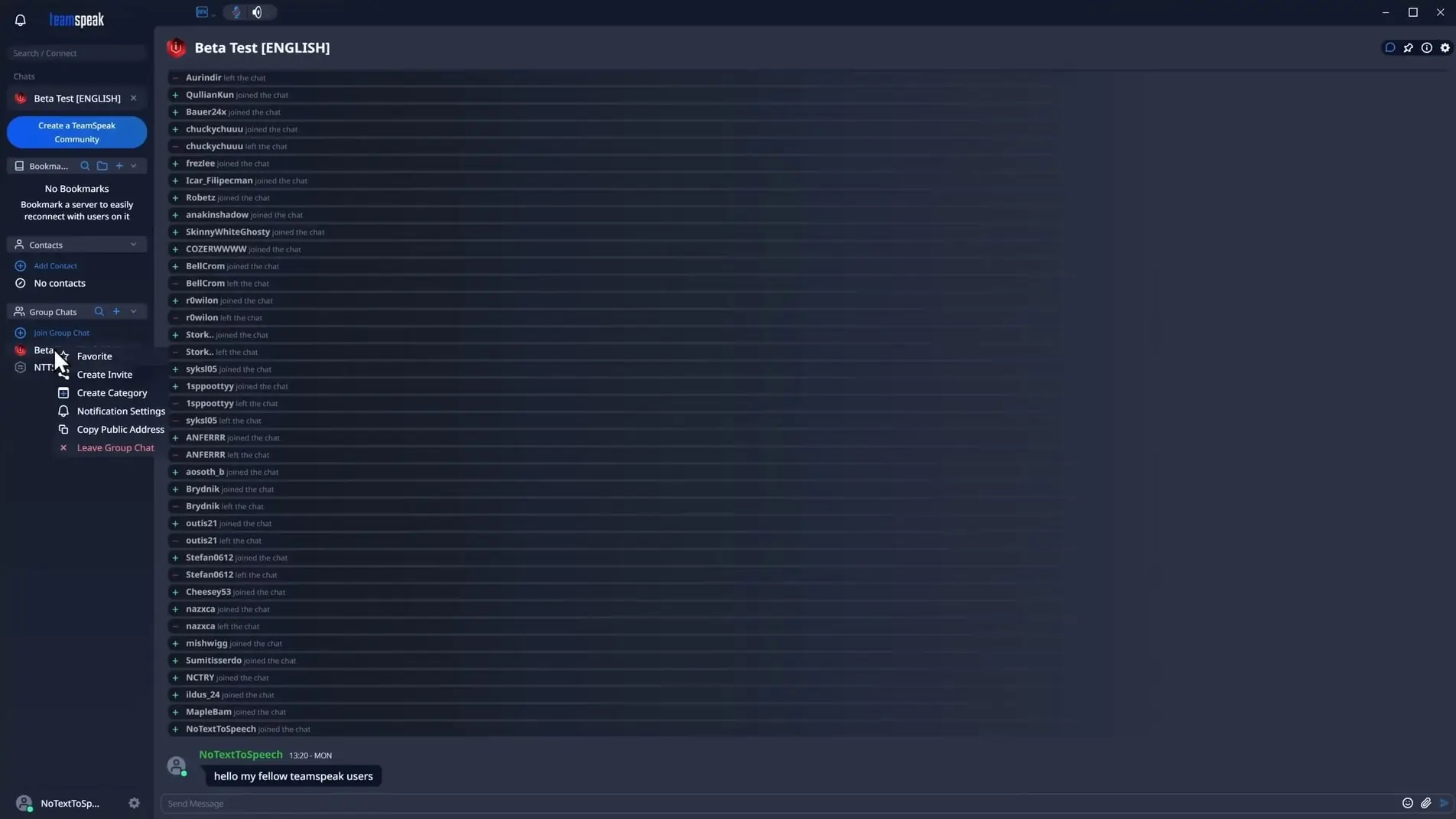 TeamSpeak (screenshot, photo)