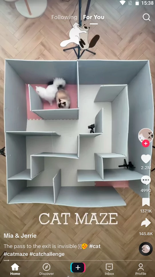 TikTok (screenshot, photo)