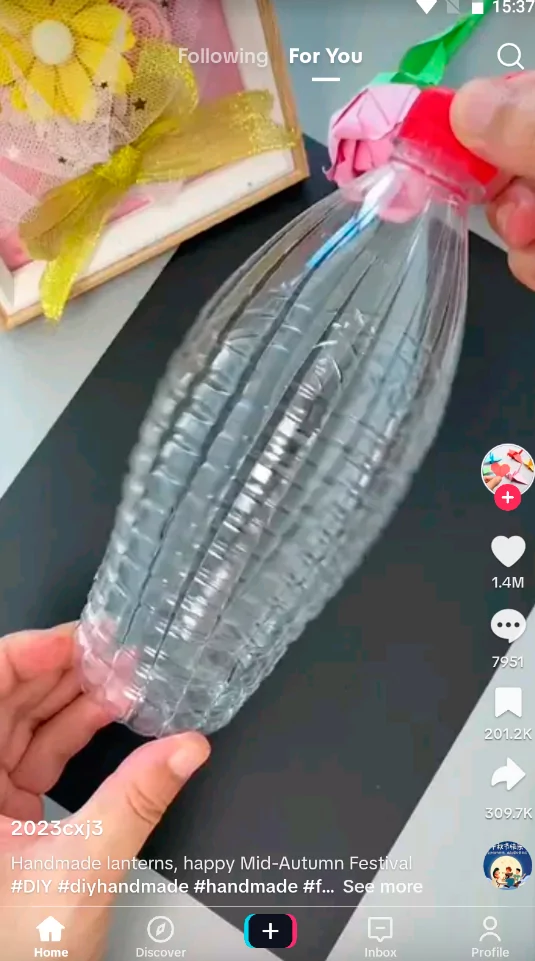 TikTok (screenshot, photo)