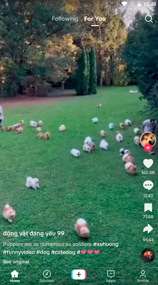 TikTok (screenshot, photo)