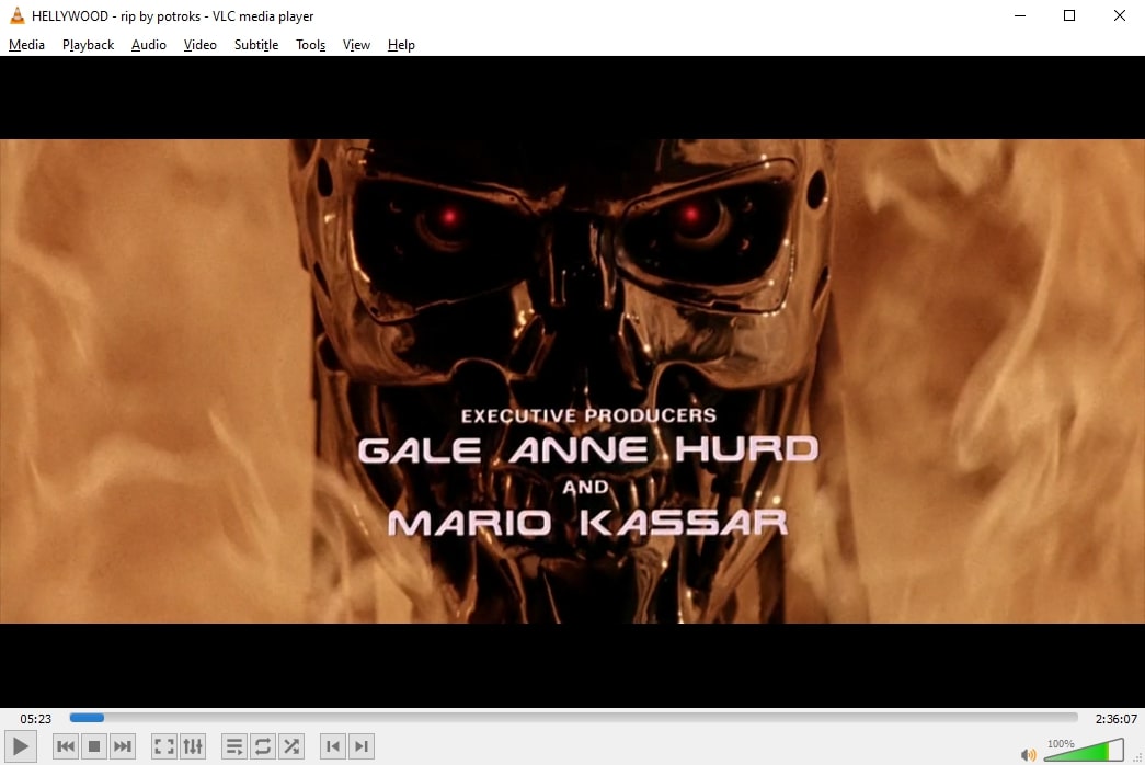 VLC Media Player (screenshot, photo)