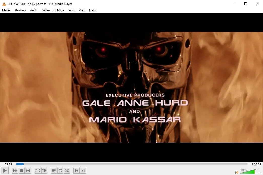 VLC Media Player (screenshot, photo)