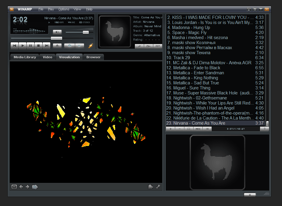 Winamp (screenshot, photo)
